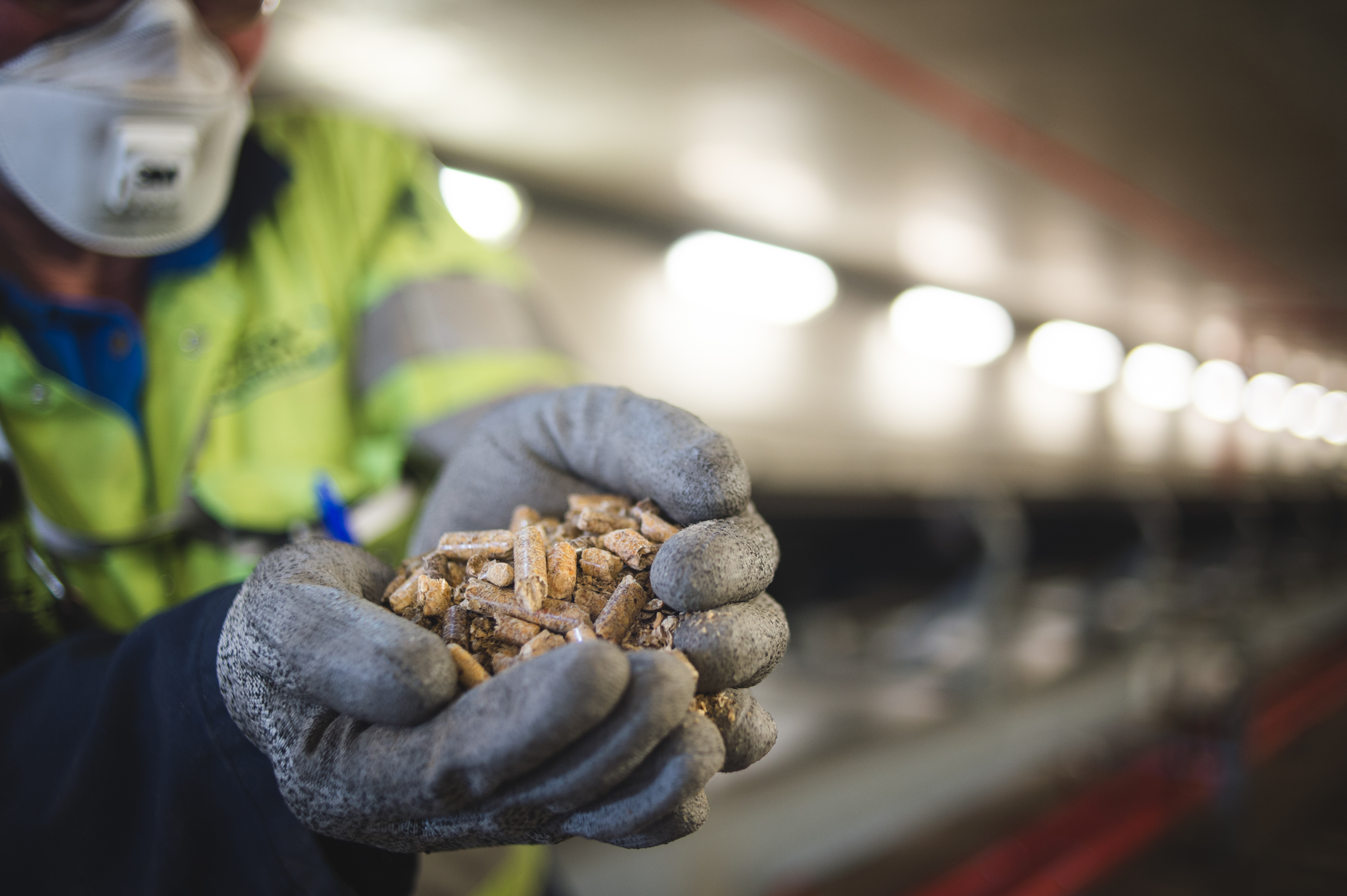 Worker's gloved hands holding Drax biomass pellets.